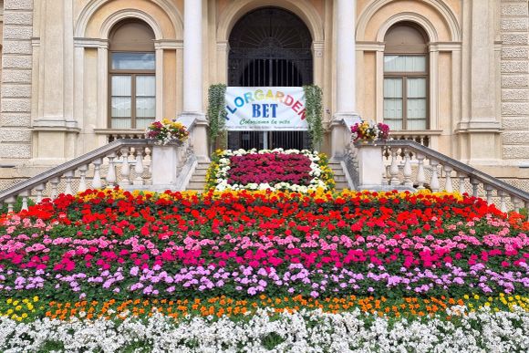 Vittorio Veneto, "La Città in fiore", Foto Paolo Gianfelici