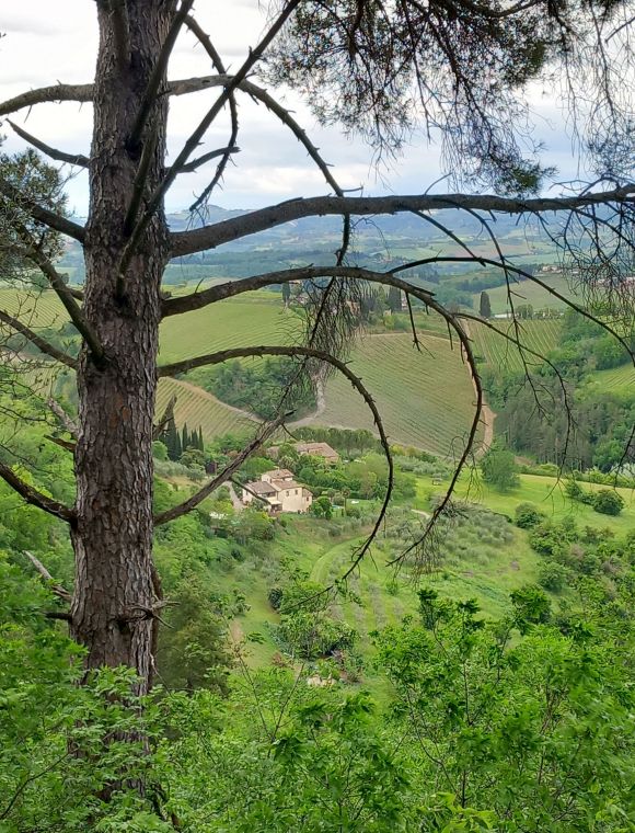 San Gimignano,  foto Lisa Mittelberger