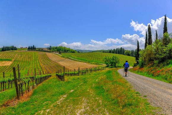 Toscana, camminando con gusto