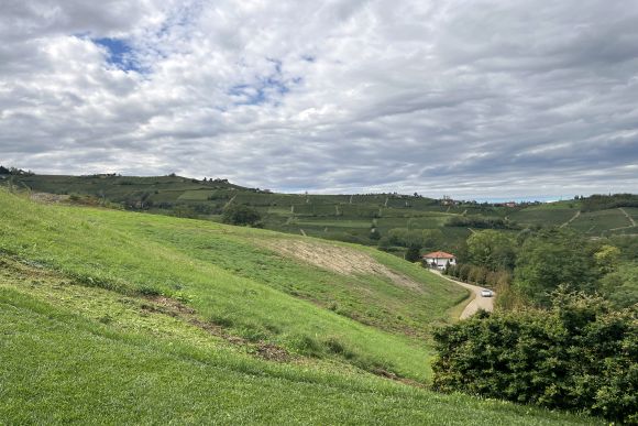 L’azienda vitivinicola Piazzo