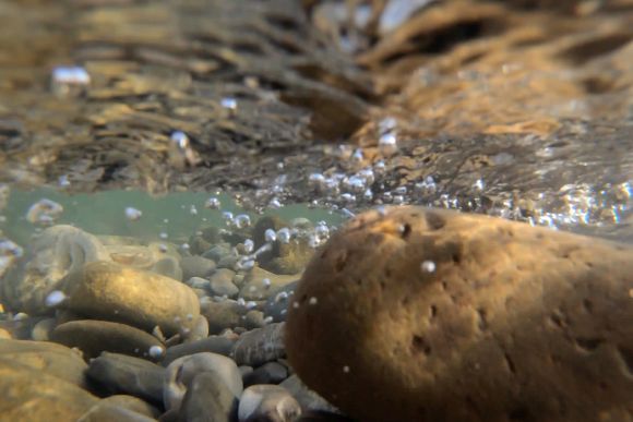 ‘Le forme dell’acqua’ per ART CITY Bologna 2024