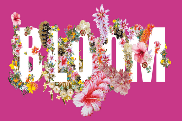 BLOOM: quando la Stiria sboccia