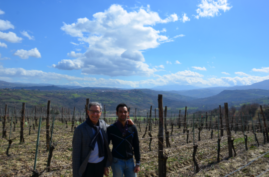 Irpinia: vigne al vento