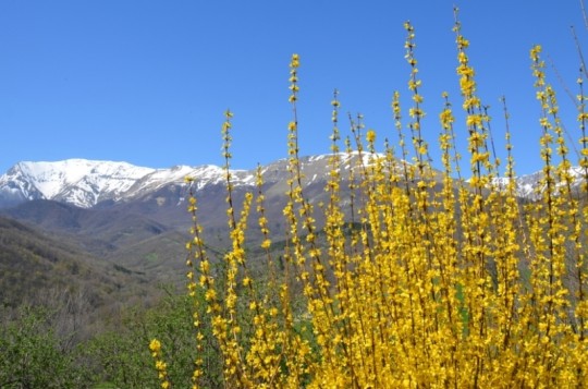 Il Piceno in primavera